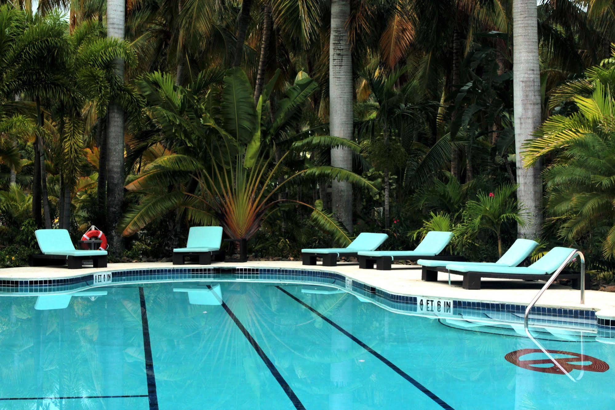 Hotel Curtain Bluff à Old Road Extérieur photo